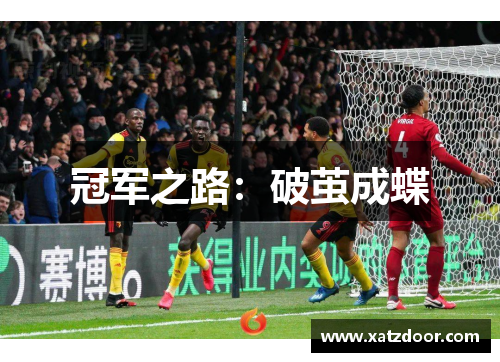 冠军之路：破茧成蝶